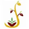 Sowing Bean India Pvt Ltd Sowing Bean India Pvt Ltd