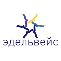 EDELWEISS LLC