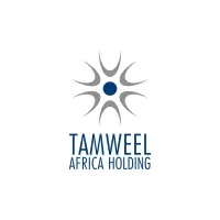 Tamweel Africa Holding