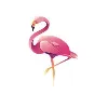 Flawless Flamingo Flawless Flamingo