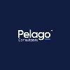Pelago Consultants Pelago Consultants