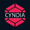 CYNDIA CYBERSPACE LLP CYNDIA CYBERSPACE LLP