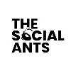 The Social Ants