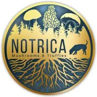 NOTRICA TRUFFLES
