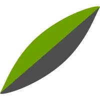 bambú code