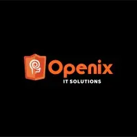 Openix Soft Consulting