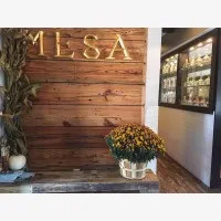 Mesa 21