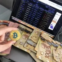 Professional Forex and Binary Options Trader