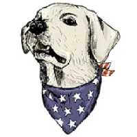 1st Capital Certified Roofing