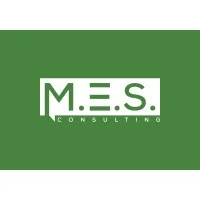 MES Consulting LLC MES Consulting LLC