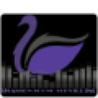 Swanson Sound Service Inc.