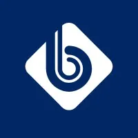 BluBiz Solutions
