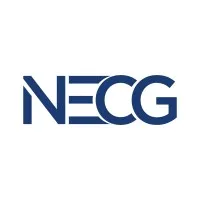 The New England Computer Group
