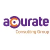 Accurate Consulting Group Accurate Consulting Group
