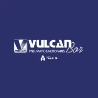 Vulcan.Bor - Grupo WLS