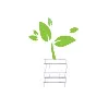 Kuza Asset Management Kuza Asset Management