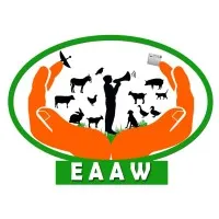 Education for African Animal Welfare (EAAW)