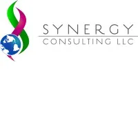 Synergy Consulting LLC