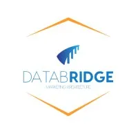 DataBridgeProf