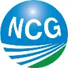 Newman Consulting Group, LLC Newman Consulting Group, LLC