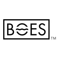BASIS Overseas Educational Services BASIS Overseas Educational Services
