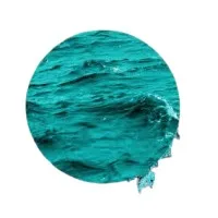 SocioThrob SocioThrob