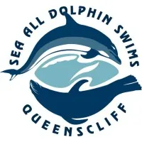 Sea All Dolphin Swims