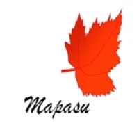 Mapasu Consulting Services