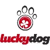 Lucky Dog Volleyball Lucky Dog Volleyball