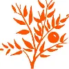 Waimea Nurseries Ltd