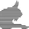 NovaLynx Corporation NovaLynx Corporation