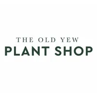The Old Yew