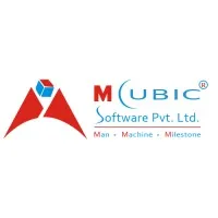 M Cubic Software Pvt Ltd