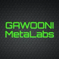 GAWOONI MetaLabs