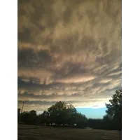 ABCXYZ St Paul, United States