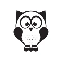 Elf Owls Elf Owls