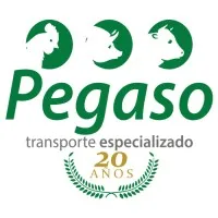 Fletera Pegaso Fletera Pegaso
