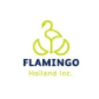 Flamingo Holland Inc USA