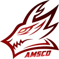 AMSCO Esports