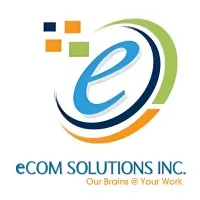 eCom Solutions Inc eCom Solutions Inc