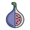 FigXQuantum FigXQuantum