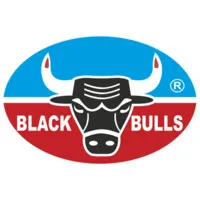 Black Bulls Grease & Lubricants Manufacturing LLC.