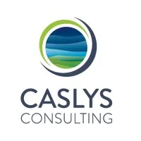 Caslys Consulting Ltd. Caslys Consulting Ltd.