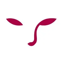 Morphace