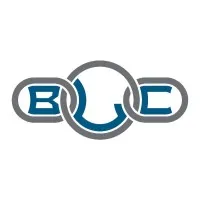 Business Link Consulting Business Link Consulting