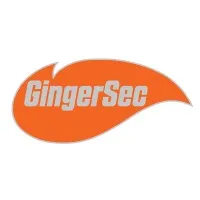 GingerSec, IT Solutions