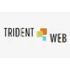 Trident Web Infoservices Pvt. Ltd. Trident Web Infoservices Pvt. Ltd.