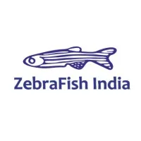 Zebrafish India