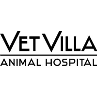 Vet Villa Animal Hospital