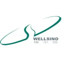 Hongkong(Dongguan)wellsino eyewear co.,ltd